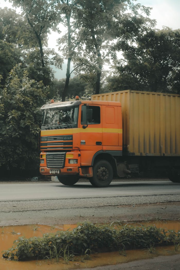 services-01 An orange semi truck driving on a tree-lined road, emphasizing the harmony of nature and transport.