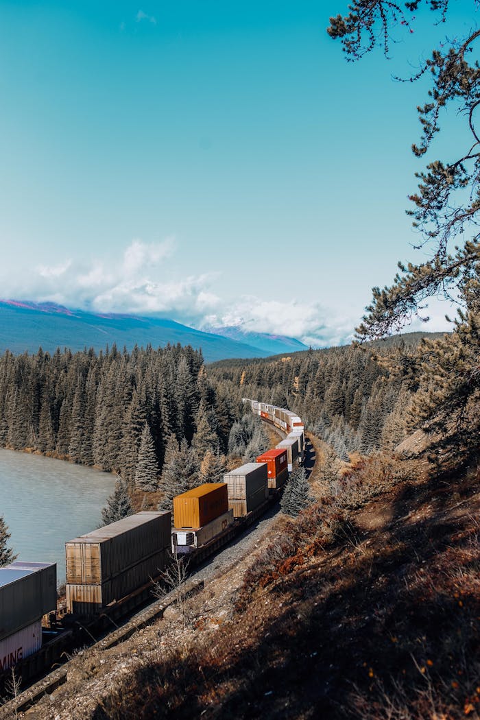 services-02 A cargo train journeying through a tranquil forest with blue skies above.